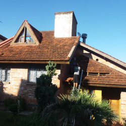 Casa com telhado de cerâmica e com morcegos